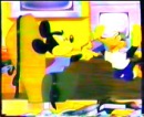 CamminataDisney86.jpg
