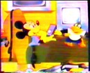 CamminataDisney87.jpg