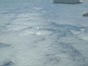 DSCF0003.JPG