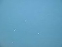 DSCF0010.JPG