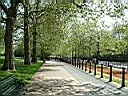 DSCF0041.JPG