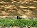 DSCF0042.JPG