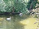 DSCF0053.JPG