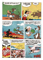 pagina 8